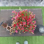 Vic Pigneto, Luxury House Terrace Roma
